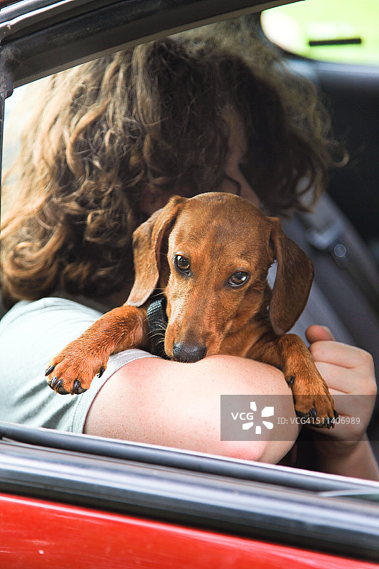 一个男孩在车里抱着一只腊肠小狗图片素材