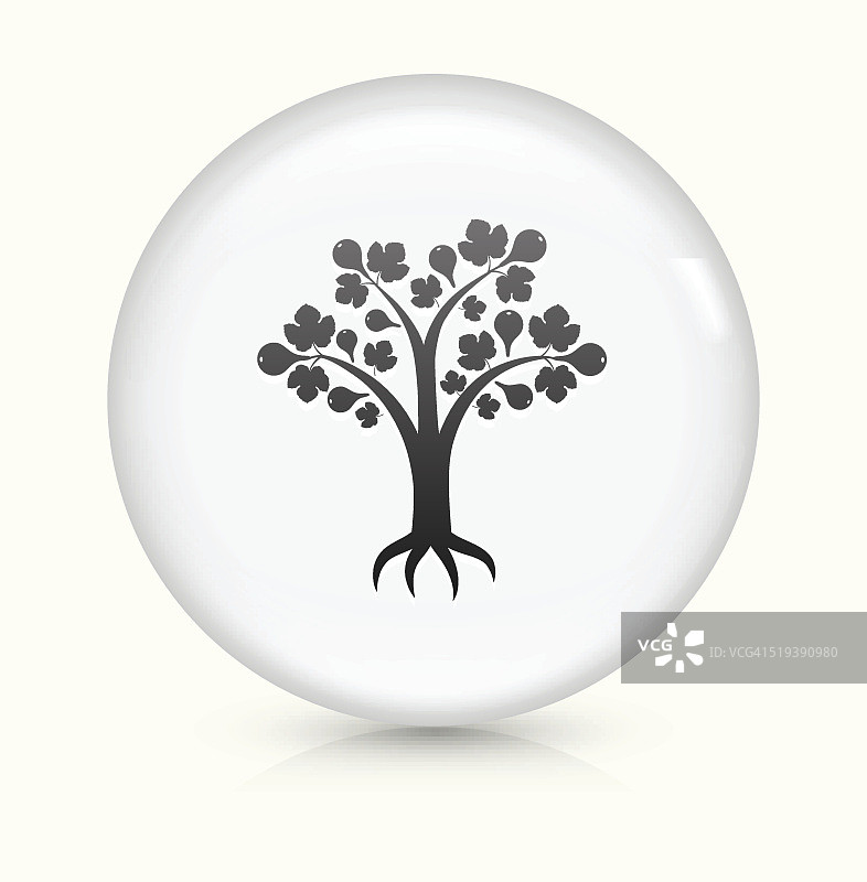 梨子或无花果树图标上的白色圆形矢量按钮图片素材