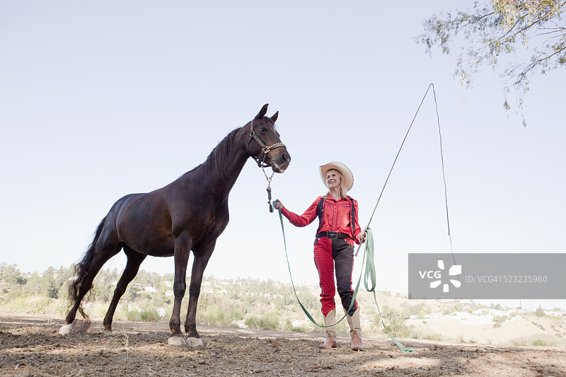 用挽具牵着马的女人图片素材