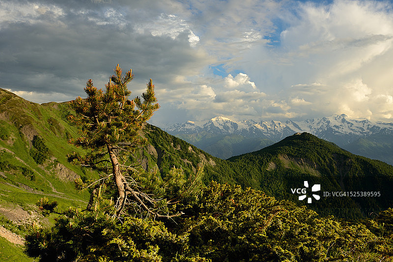 树和山，斯瓦涅蒂，格鲁吉亚图片素材