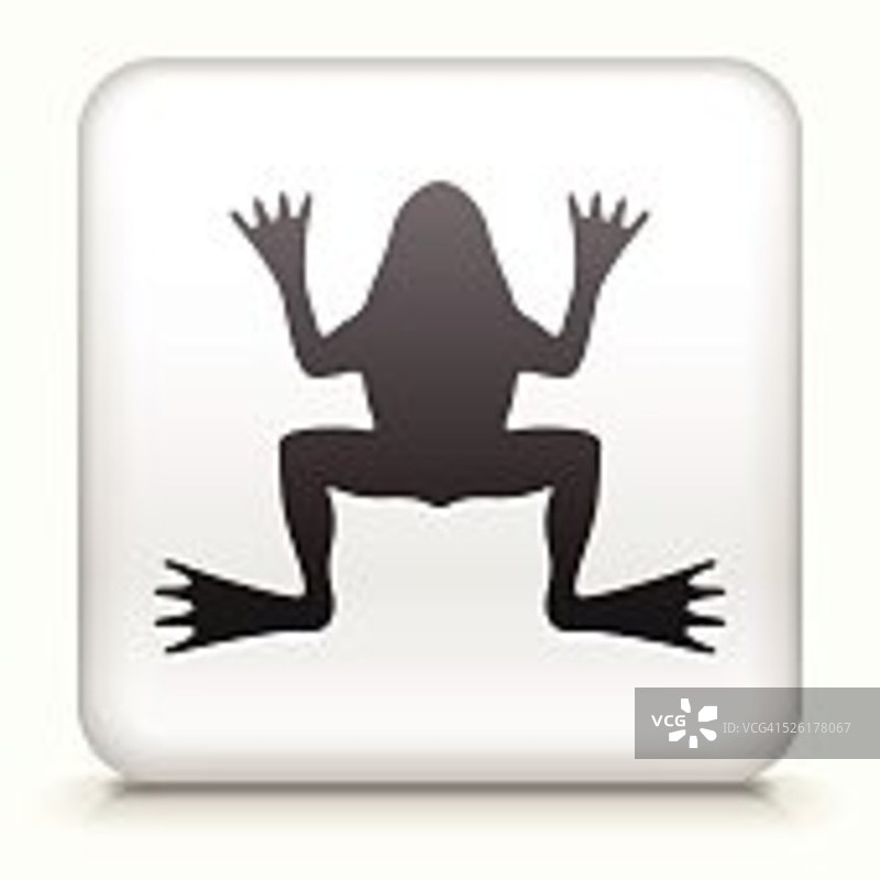 白色方形按钮与青蛙图标图片素材