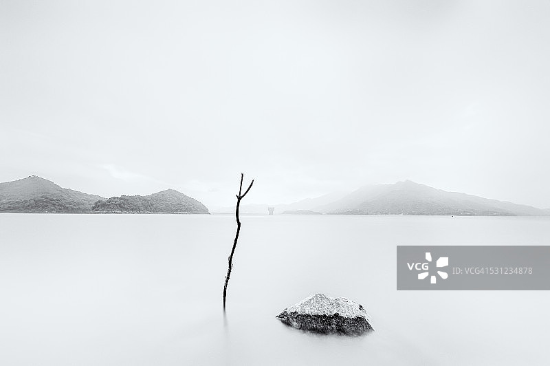 一根棍子和一块石头在水中静止的香港水塘艺术形象图片素材