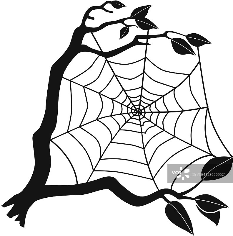 黑色和白色的带有树枝的矢量蜘蛛网图片素材