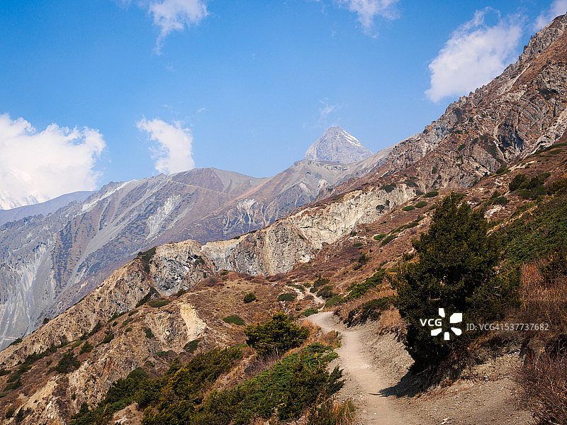 尼泊尔，马南，塔雷贡巴:通往蒂里科大本营的山路图片素材