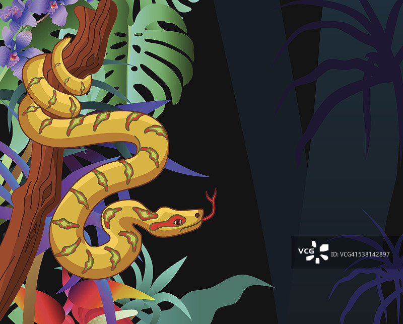 蟒蛇横卧在亚马逊雨林丛林中图片素材