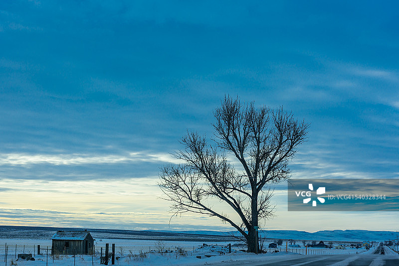 爱达荷冬季黎明的景象图片素材
