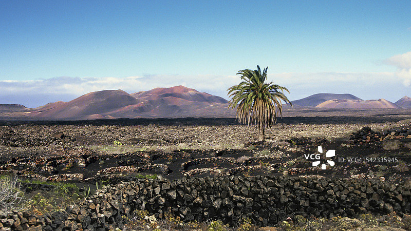 火山景观,兰萨罗特岛图片素材