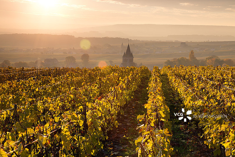 秋天的村庄和葡萄园，法国香槟图片素材