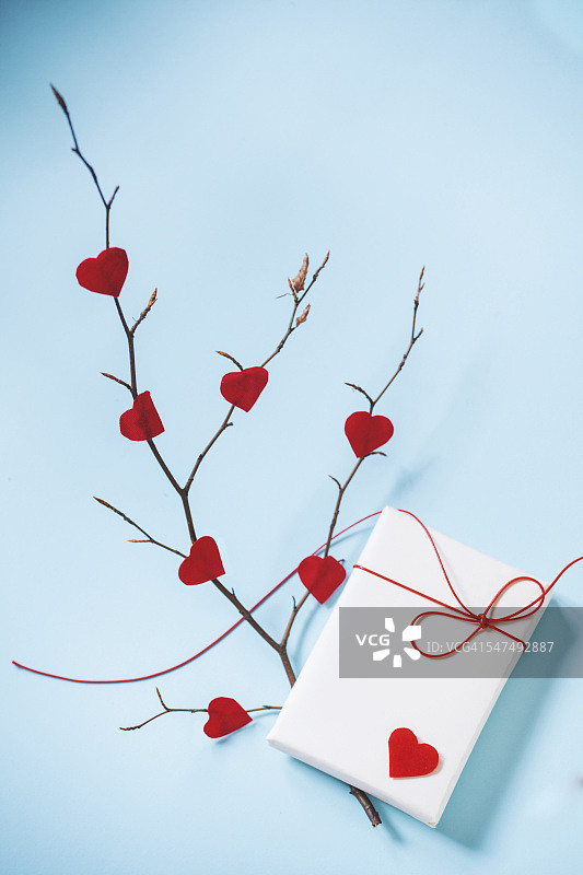 情人节礼物和有红心的树枝图片素材
