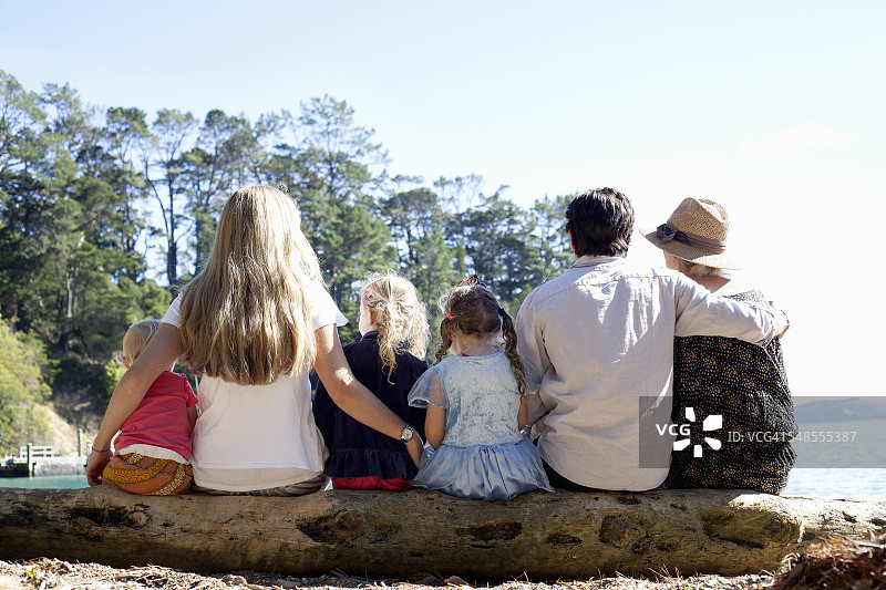 家庭朋友坐在树干上的后视图在海滩，新西兰图片素材