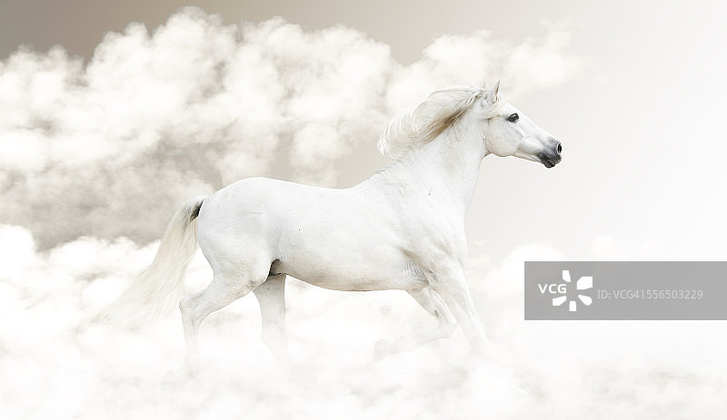 白马在云中奔驰图片素材