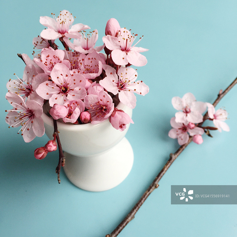 盛满粉红色花朵的蛋杯图片素材