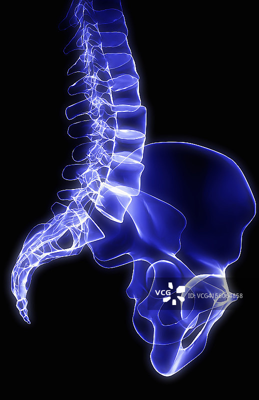 右侧骨盆和腰椎x线侧位片。图片素材