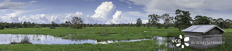 亚马逊瓦尔泽亚（洪水区）图片素材