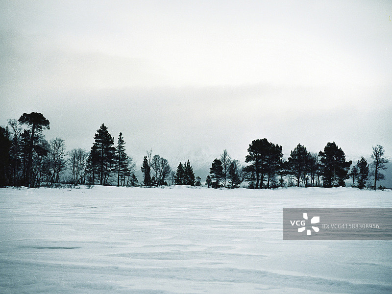 冬天的风景,瑞典图片素材