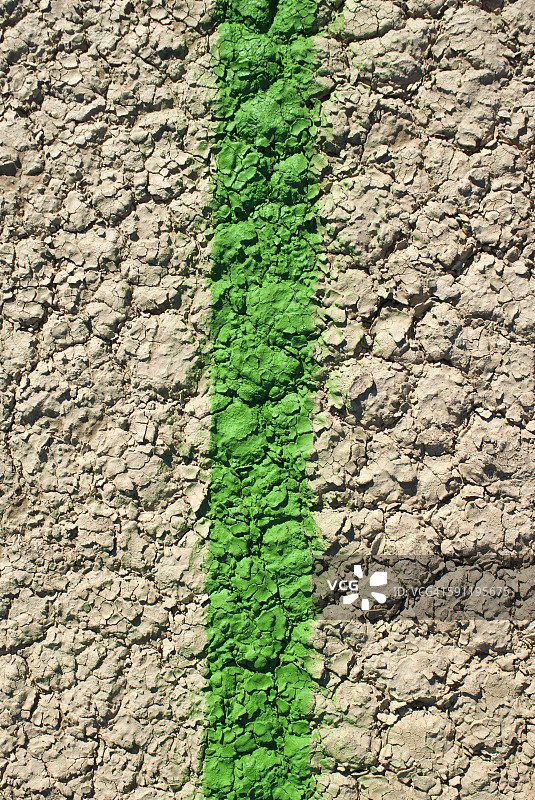 干湖床上的绿线图片素材