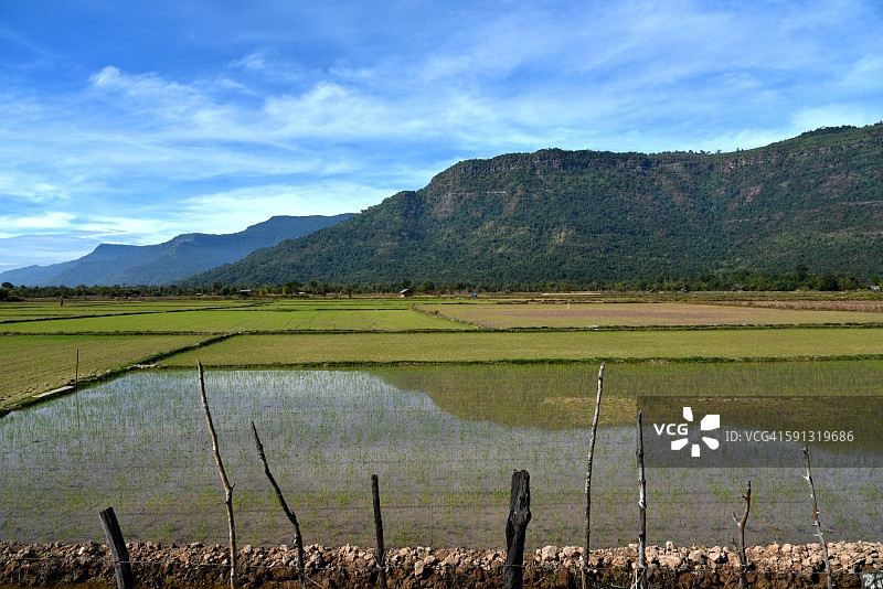 老挝Champasak灌溉稻田图片素材