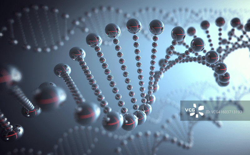 DNA结构,说明图片素材