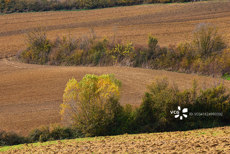 秋天的棕色山丘，意大利图片素材