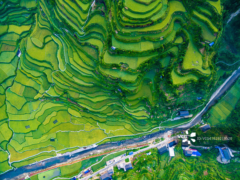 WS航拍中国贵州的绿色梯田。图片素材