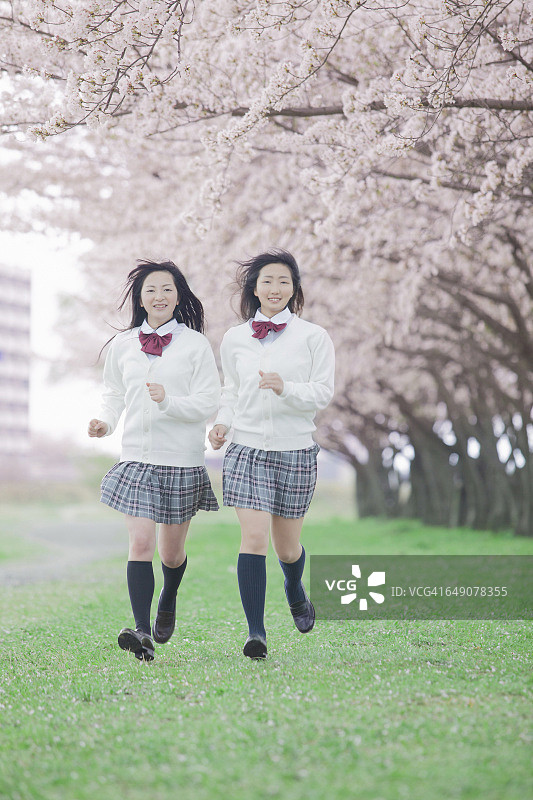 日本高中生在后面跑樱花树图片素材