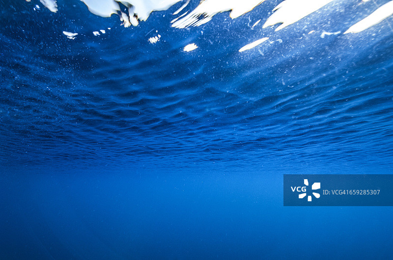 马尔代夫的水下世界。图片素材