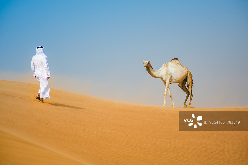 阿拉伯联合酋长国迪拜沙漠，一名身穿传统服饰的中东男子走向骆驼图片素材