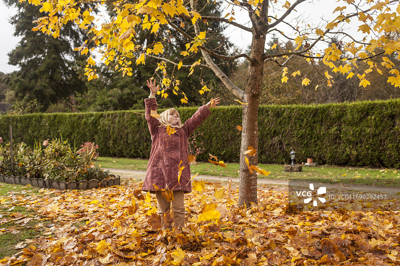 一个年轻的女孩在秋天的树叶中玩耍。图片素材