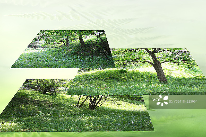 树和草的多重图像图片素材