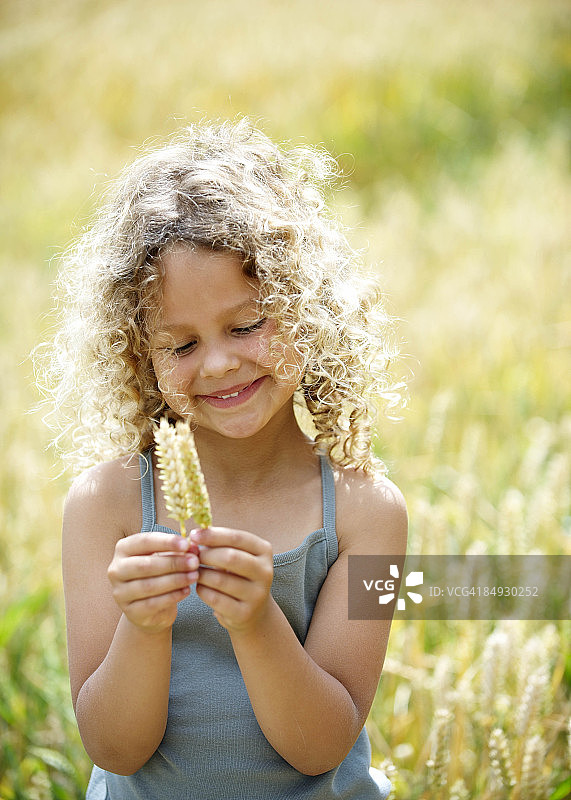 麦田里长着玉米穗的年轻女孩图片素材