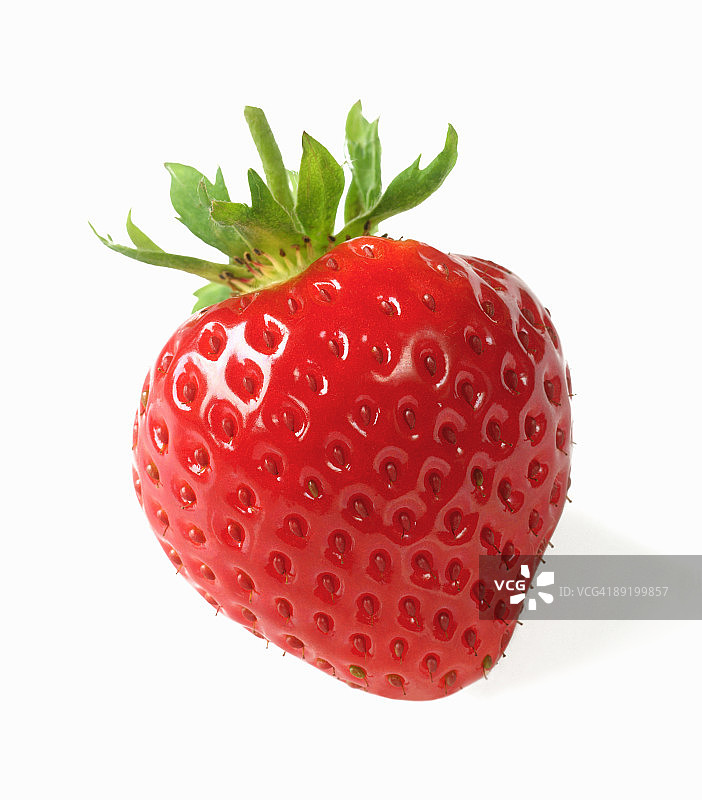 成熟，新鲜，有机草莓。图片素材