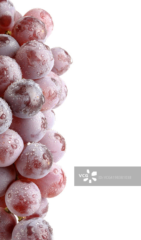 一串带有水滴的新鲜葡萄图片素材