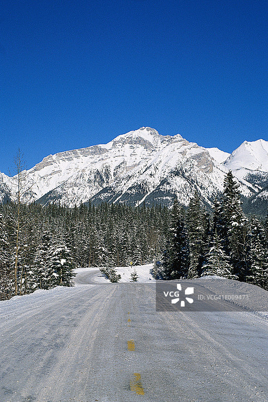 白雪覆盖的山路两旁是森林图片素材