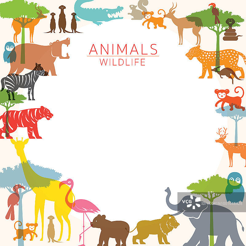 野生动物组，动物园，框架图片素材