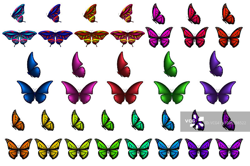 逼真的彩色3d蝴蝶设置，孤立的白色背景。用于设计的装饰元素。图片素材