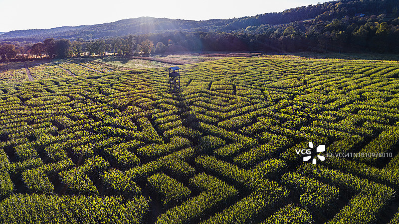 宾夕法尼亚州波科诺斯地区巨大的万圣节玉米迷宫图片素材