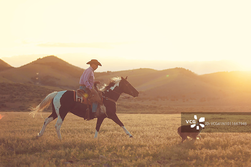 骑马的牛仔和他的狗图片素材