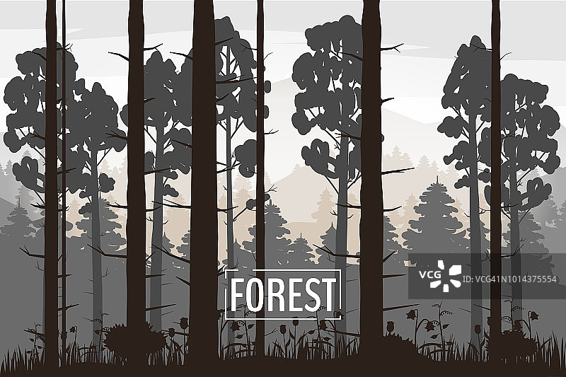 森林景观极简主义插图。松树树剪影。自然场景。现实色彩背景与剪影，树木，松树，冷杉，自然，山，草和花，环境，地平线，全景。雾林早上或晚上。向量图片素材