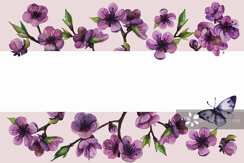 令人敬畏的樱花收集春天的花水彩画图片素材