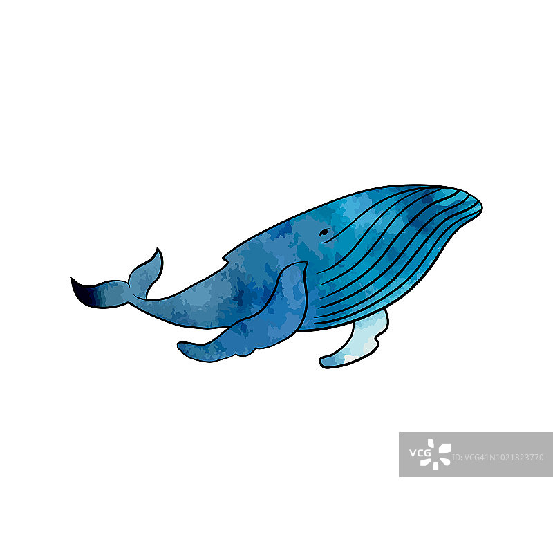 透明背景上的彩色鲸鱼。Vektor。图片素材