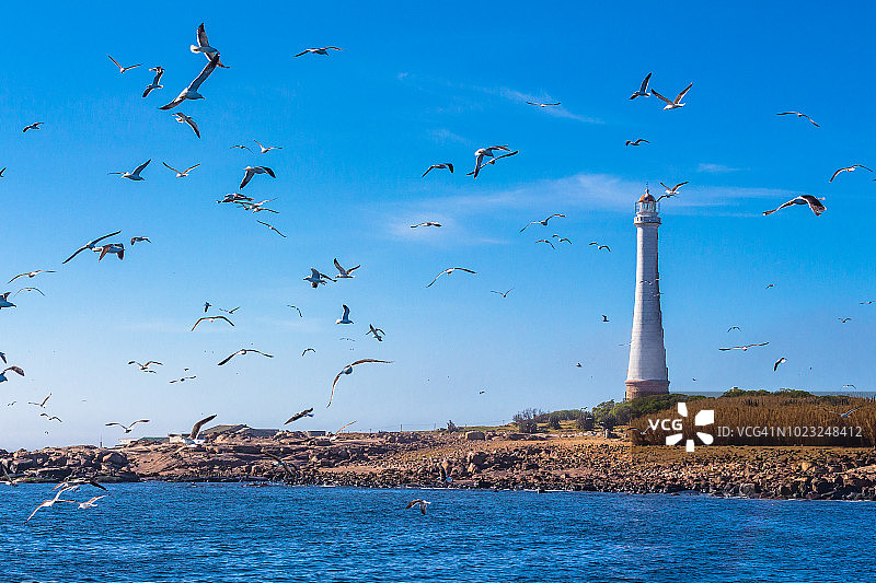 乌拉圭埃斯特角Lobos岛的灯塔图片素材