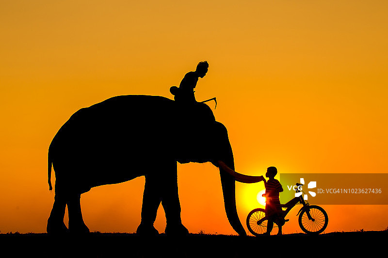 日落时分，骑着自行车的父亲在大象背上跟儿子说话。图片素材
