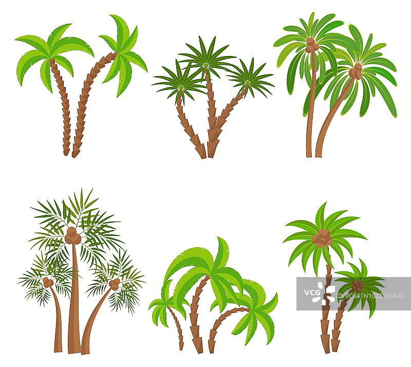 不同的棕榈树隔离在白色背景上。热带植物矢量插图。雨林植物。夏日海滩度假胜地装饰图片素材