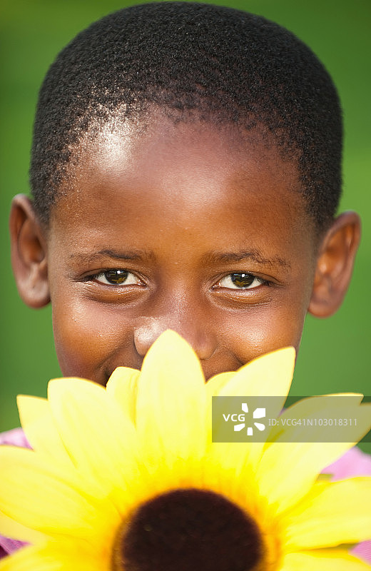 女孩的肖像(8-9)在嘴拿向日葵，约翰内斯堡，豪登省，南非图片素材