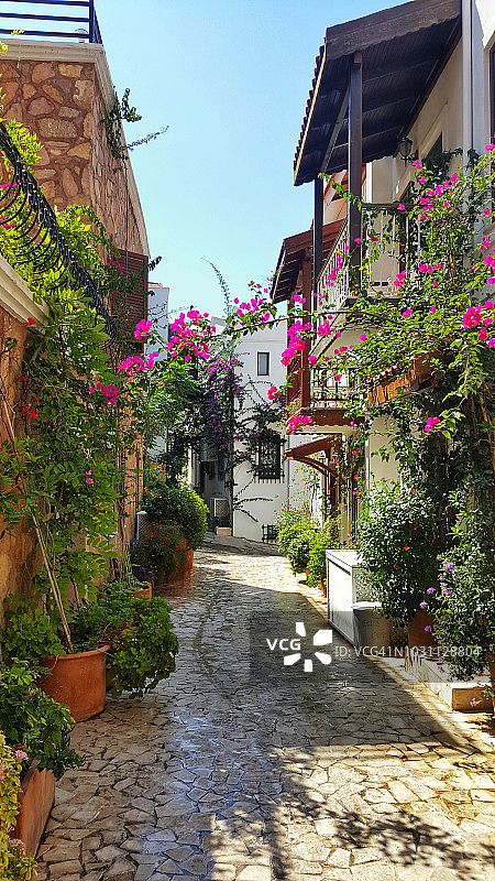 美丽的土耳其老城街道，花盆和花卉图片素材