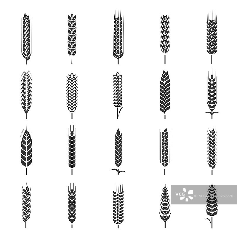 麦穗图标集，农业符号集图片素材