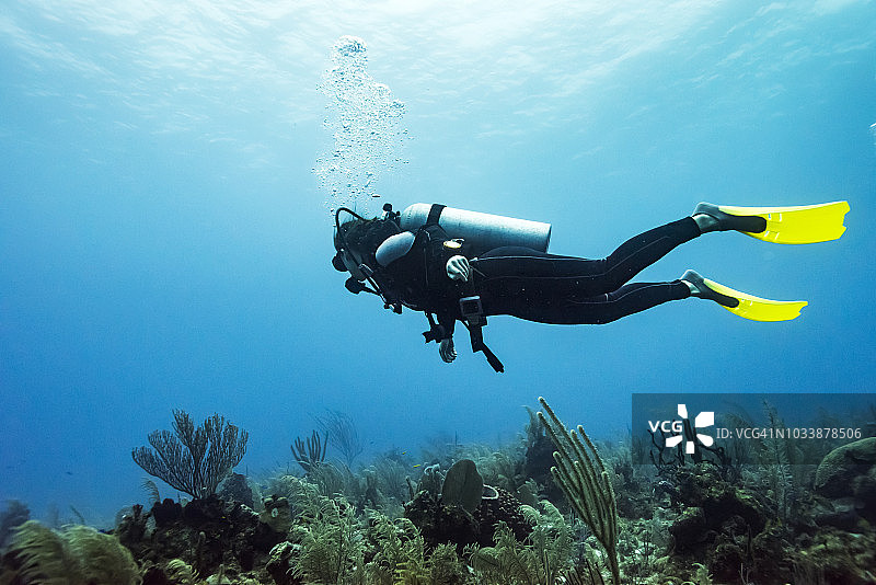 伯利兹堡礁Joe's Wall潜水点的水肺潜水员图片素材