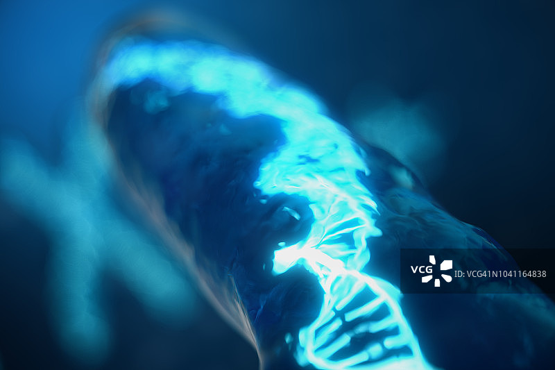 3D插图x染色体与携带遗传密码的DNA。遗传学概念，医学概念。未来,基因突变。在生物层面改变遗传密码。图片素材