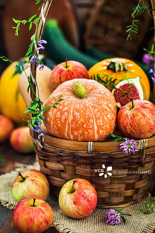 秋天彩色的南瓜，苹果和无花果在乡村的背景，万圣节或感恩节的概念图片素材