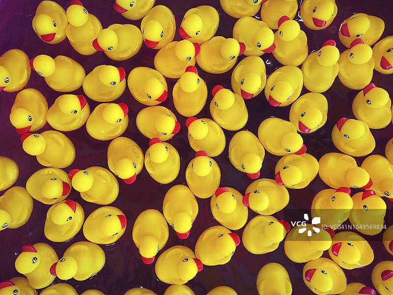 嘉年华游戏用橡胶或塑料做成的鸭子漂浮在小水池里。每只鸭子的底部都有一个数字，对应着一个潜在的奖品。参与者选择一只鸭子，根据鸭子下面的数字来决定是否获胜。图片素材